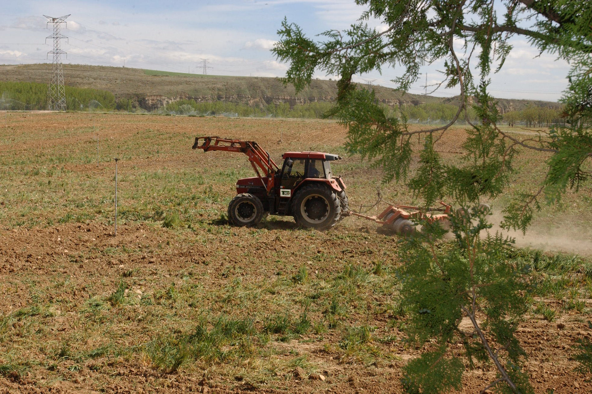 El Ministerio de Agricultura, Pesca y Alimentación analizará el contenido en carbono de los suelos agrícolas de España